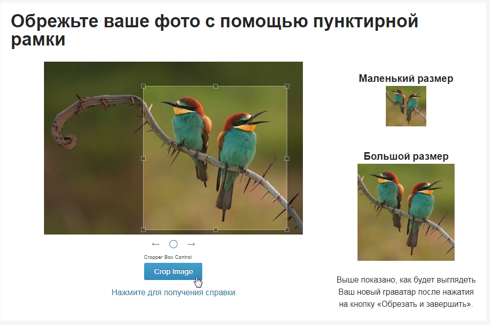 Редактирование изображения