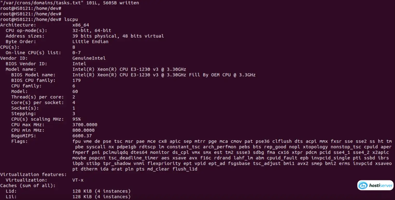 Terminal with lscpu command - shows CPU info