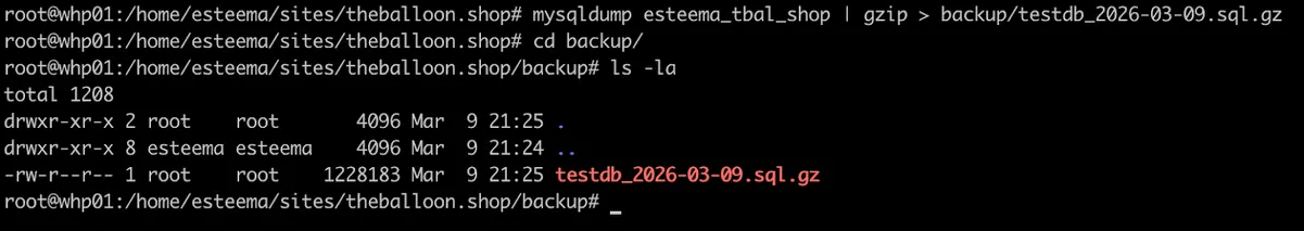 Terminal with mysqldump command execution for creating MySQL database backup