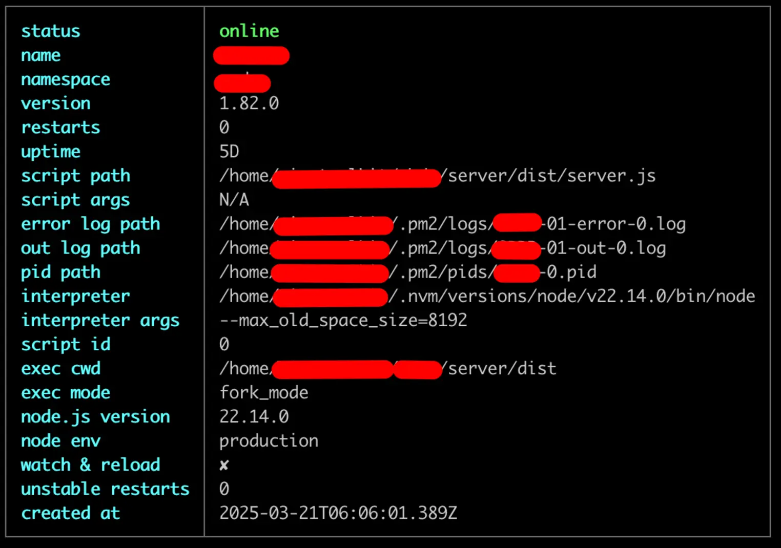 PM2 describe — Node.js process details: version 22.14.0, production, uptime 5D